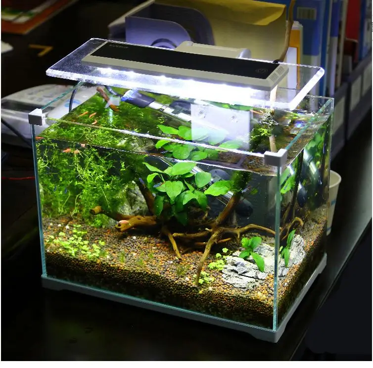 SUNSUN wholesale aquarium fish exporter in kerala ATK-250