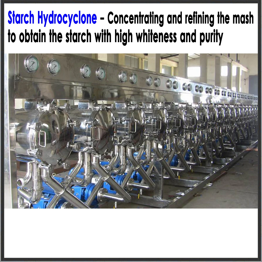 Sago starch factory/sago starch plant/sago starch machinery