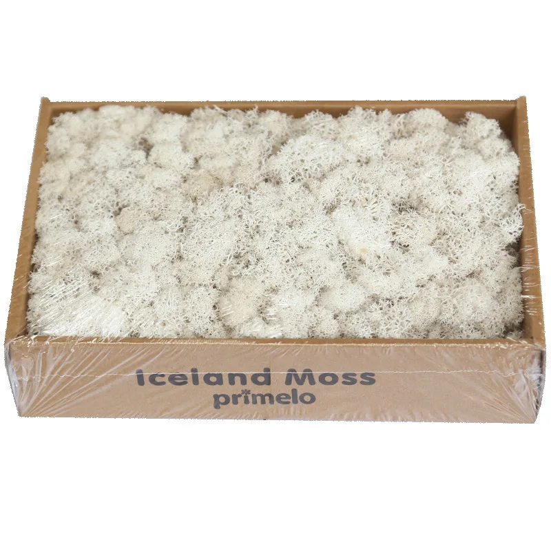 wholesale decorative moss 10 colors real touch preserved immortal moss for wedding backdrop decoration