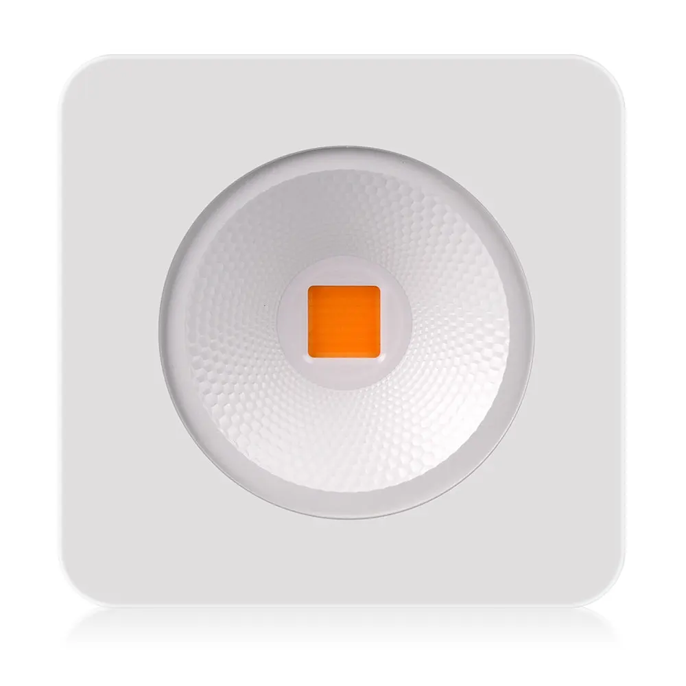 2021 New COB LED Grow Light Full Spectrum 200W Led Grow Light for indoor plants