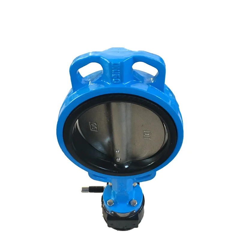 ISO Certificated Class 125 PN25 gearbox a216 wcb 2/12 butterfly valve