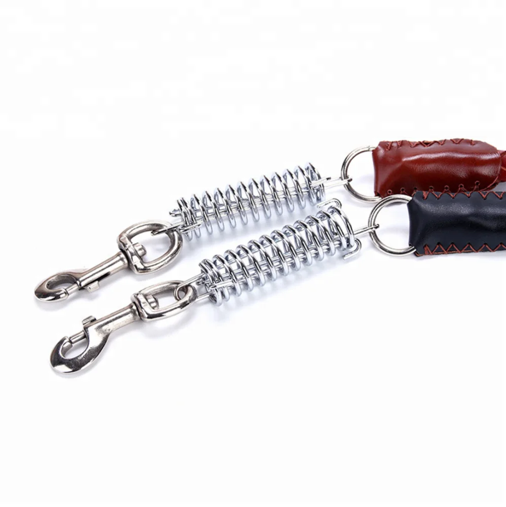 Pet Dog Traction Rope Eight-strand Cowhide Spring Belt Outdoor Anti-scourization Guide Leather Dog Collar And Leash