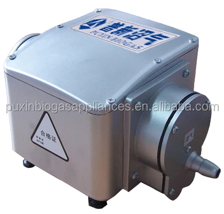 Puxin Gas booster pump for biogas plant 220V AC 20 W