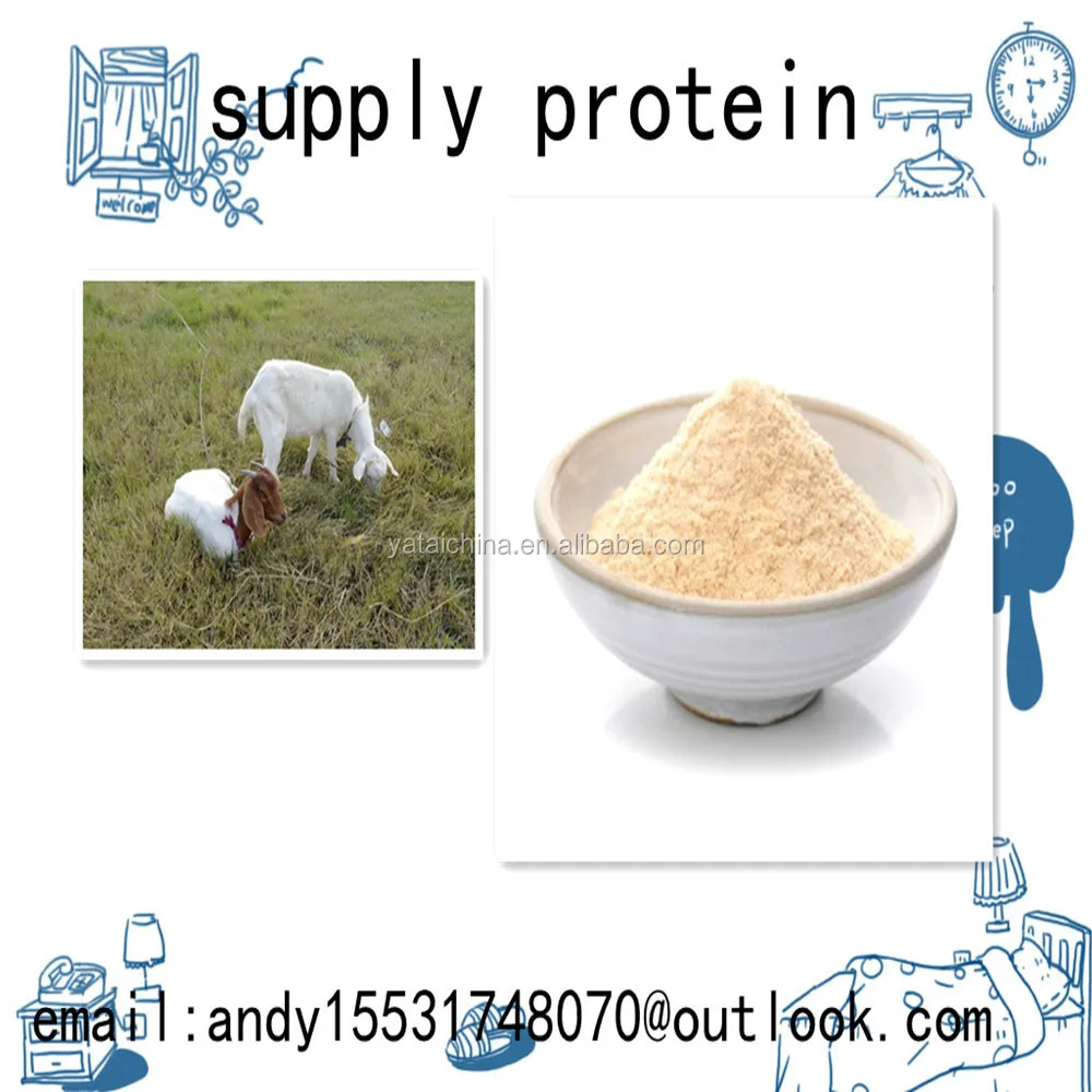 Yeast feed-pigeon feed yeast feeds 60%