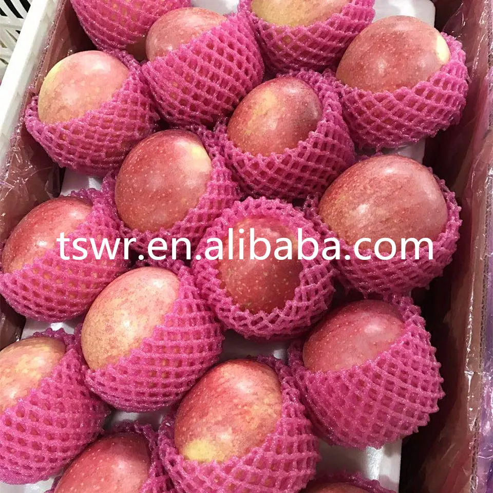 
food grade fresh apple fruit 