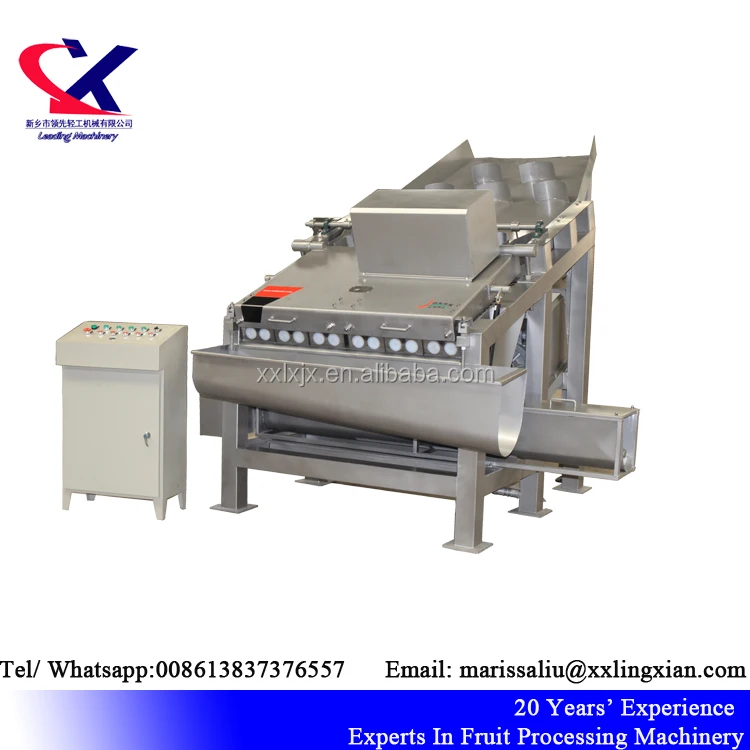 Fresh Litchi (lychee) Fruit 2-3t/h Automatic Litchi Juice Making Machine Lychee peeling and pitting machine