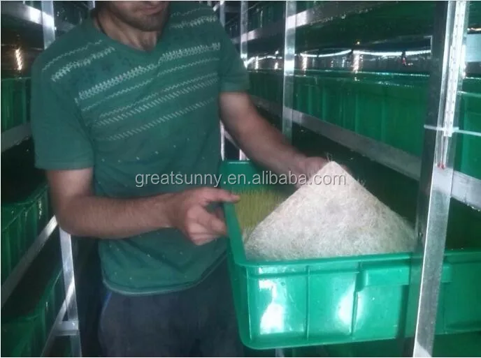 
Commercial equipment /animal feed hydroponic fodder making machine/ sprout growing equipment fodder corn tray 