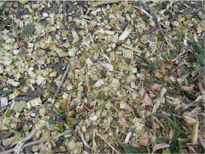 BX42S Wood Chipper Manual Shredder Tractor PTO Driven Wood Chipper Shredder With CE