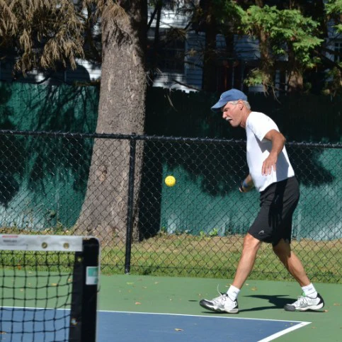 Pickleball paddle YEDO Sports Custom USAPA Graphite pickleball  paddle PP honeycomb Core