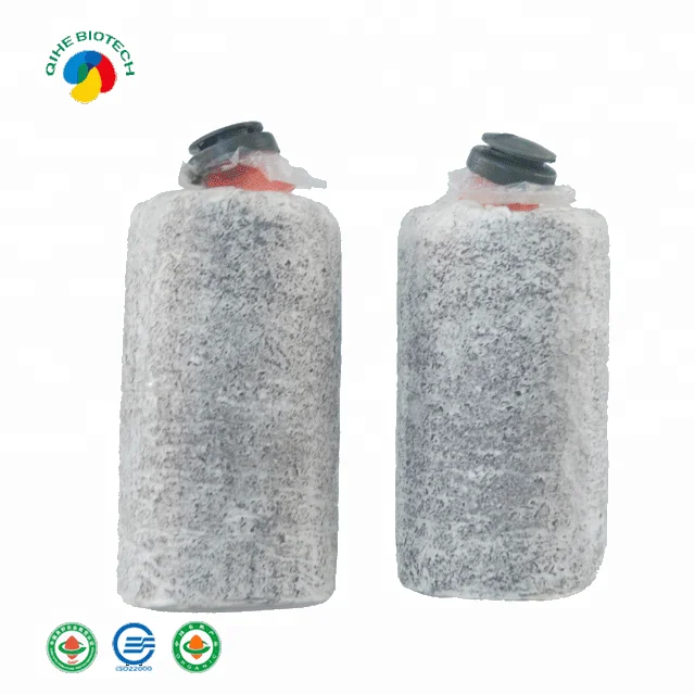 
High Yield Mushroom bags oyster mushroom mycelium for wholesales 