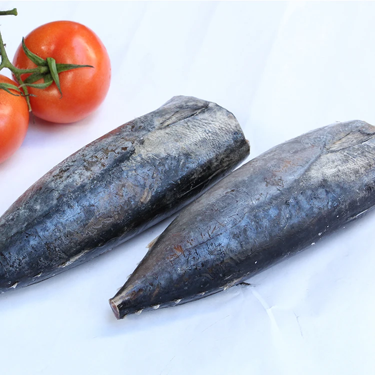 wholesale frozen fresh skipjack tuna price sale fresh bonito fish HGT Bomb fish fresh fish indonesia
