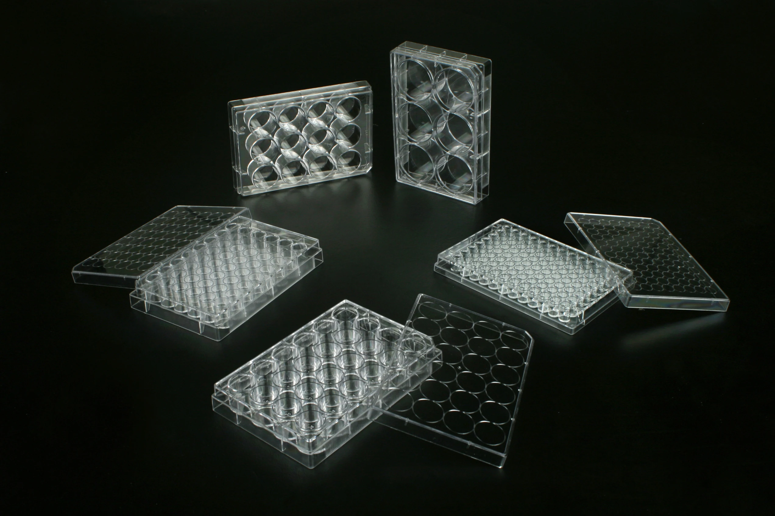 
Lab 6/12/24/48/96 well cell culture plates tissue culture plate 