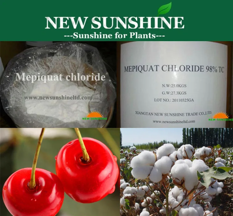 Plant Growth Hormone Mepiquat Chloride 98% TC PIX