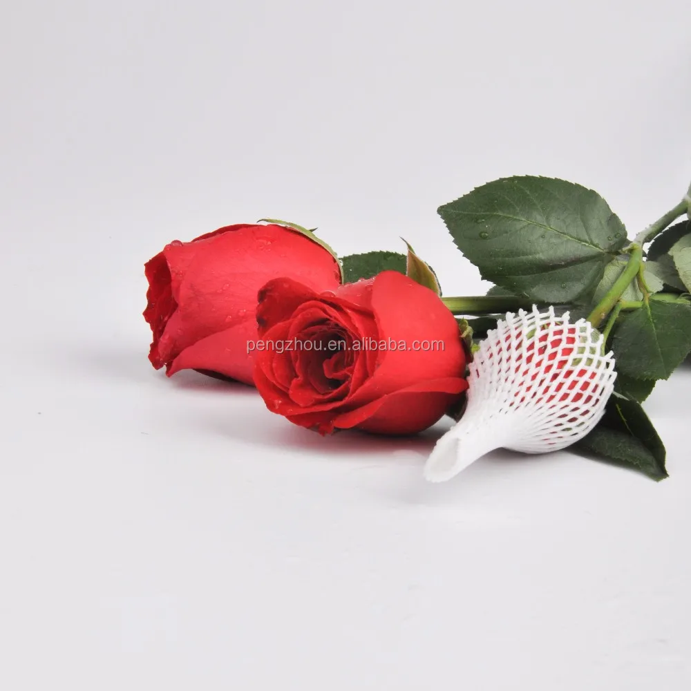 
epe foam mesh bubble wrap 