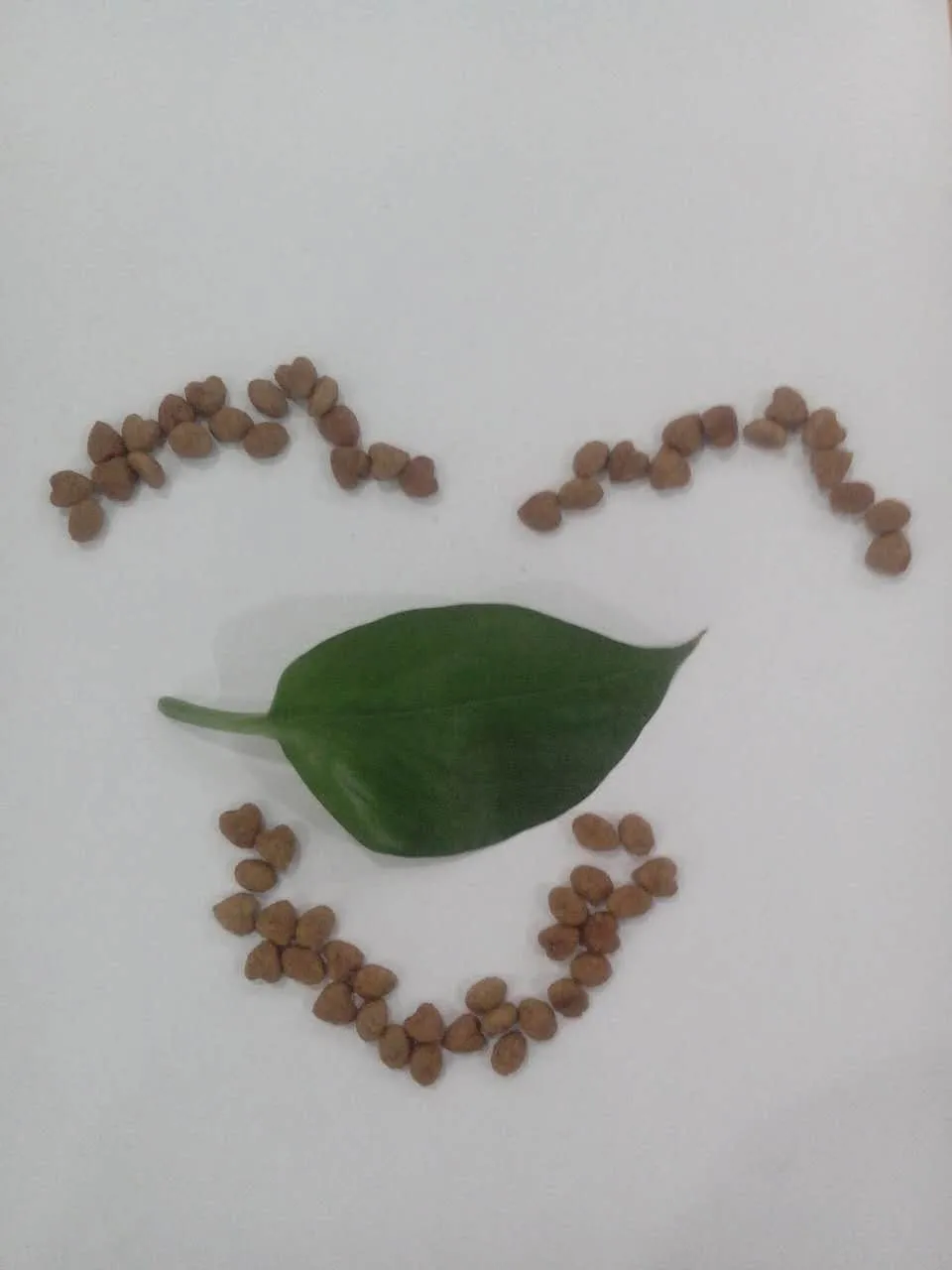 Customized high quality bulk dog food pet food