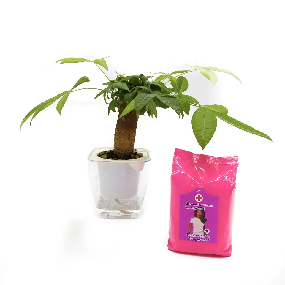 Woman Skin Care Kindly Intimate Wet Wipes