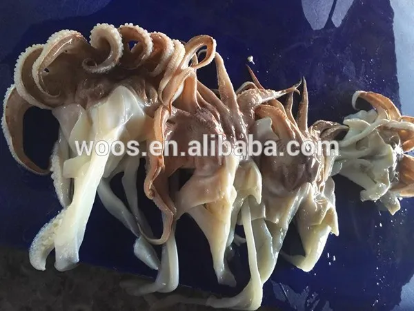 Замороженные свежие каракатицы