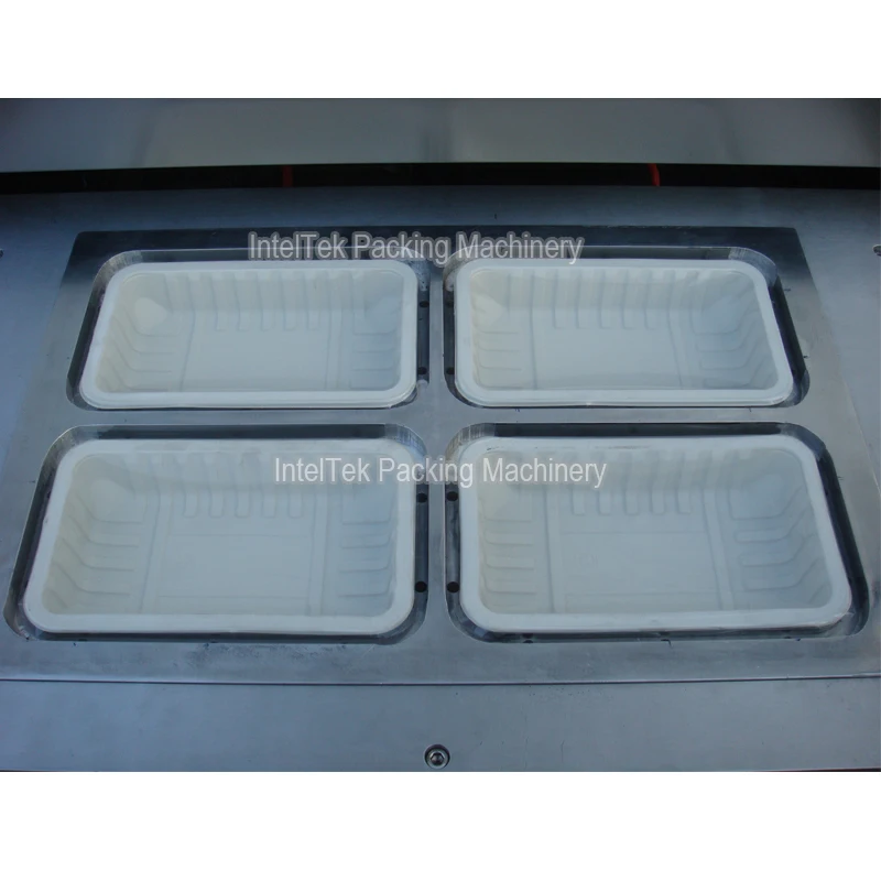 Pasta Fruit Vegetable Seafood Sandwich Tray Vacuum Nitrogen MAP Packing Machine