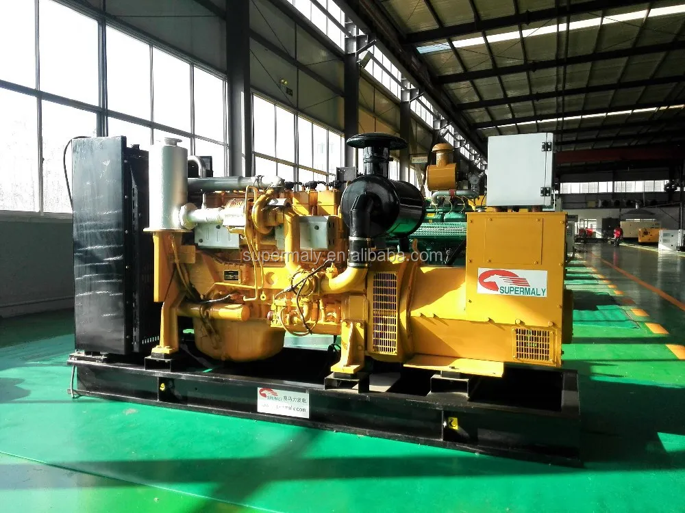 250kva natural gas generator by reliable Chinese gas engine