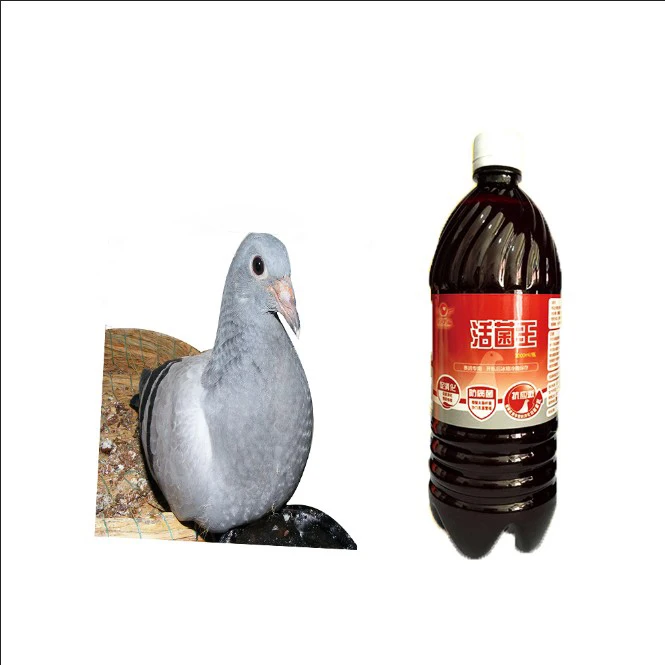 
Herbal Digestion enzymes probiotics for pigeon racing 
