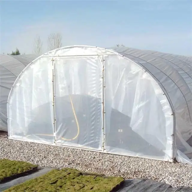 2016 New design Vegetable Fruits Flowers green house High Quality Tunnel Greenhouses