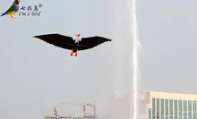 HTB102PZLXXXXXX1XVXXq6xXFXXXg