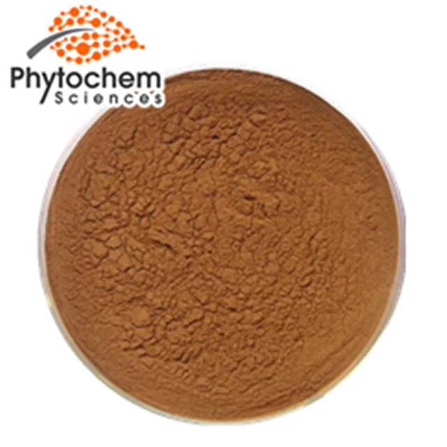 
Sell natural chaga mushroom triterpene extract organic chaga mushroom supplier raw chunke chaga mushroom 