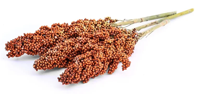 Высокое качество и низкая цена sles сорго красное экстракт красный пигмент