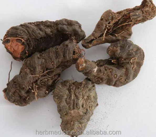 
Natural dried Polygonum bistorta L rhizome roots slices raw bio herb 