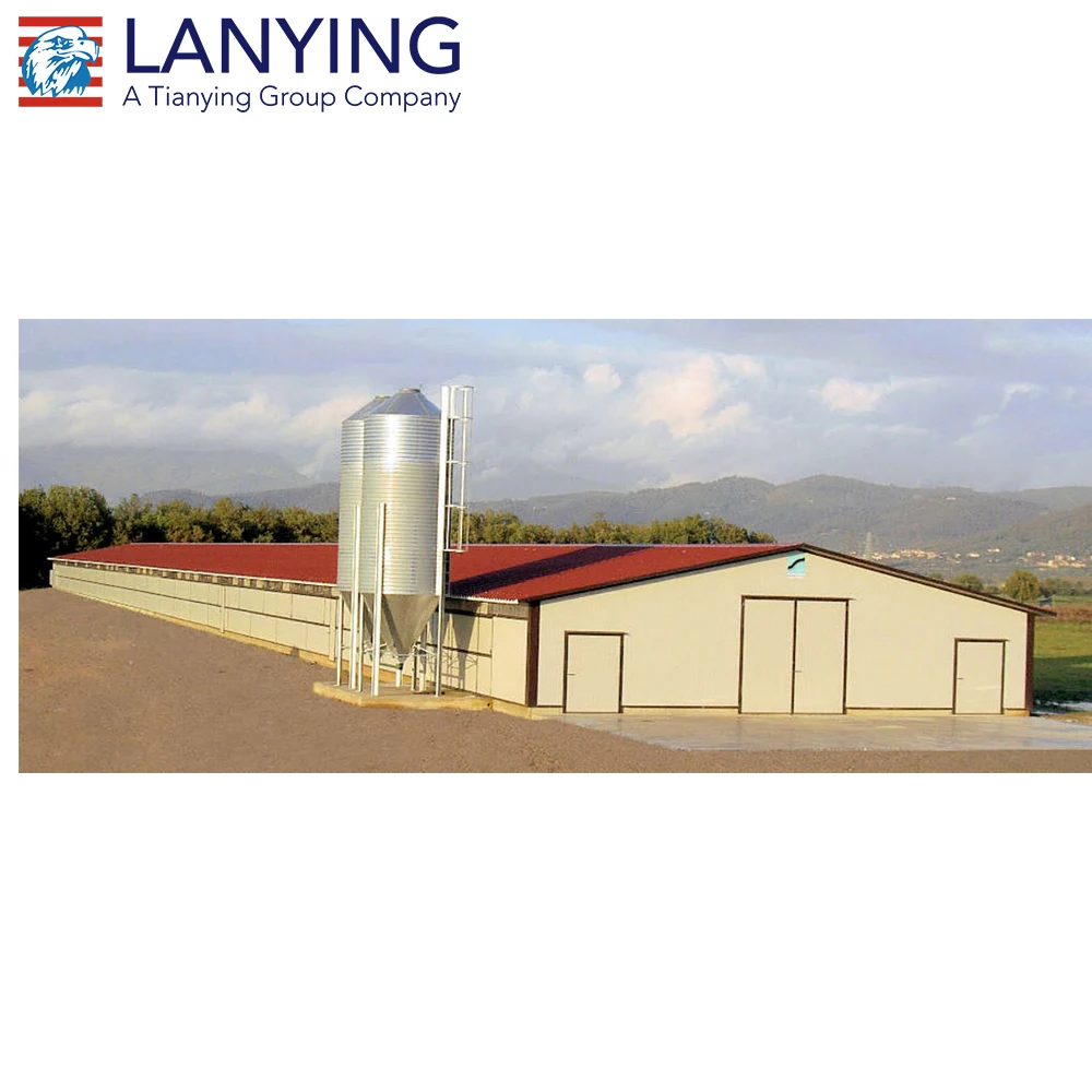 Light Steel Poultry Farming Chicken Sandwich Panel Door or Rolling Door Steel Frame Structure Layer Poultry Farming PVC Window