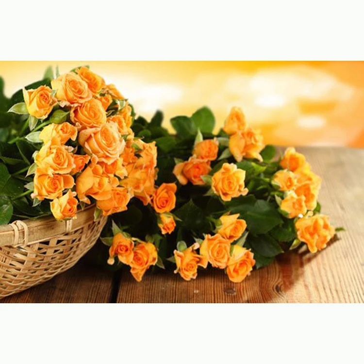 Beautiful yellow rose 5D DIY Diamond mosaic diamond embroidery embroidered Cross Stitch Home decoration Gift