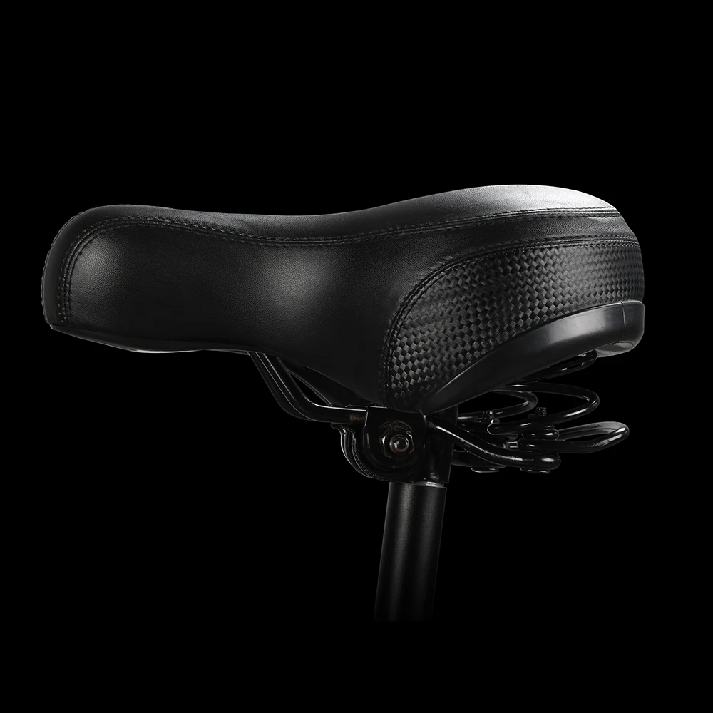 EcoRider E6-7 250W Electric Bike for Adult Electrical Motorcycle City Road Electric Bicycle