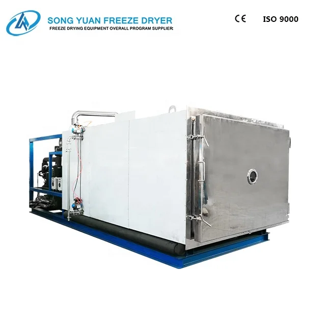 
high quality pharmaceutical freeze dryer with top presser 304/316 Stainless steel GZLY-1 
