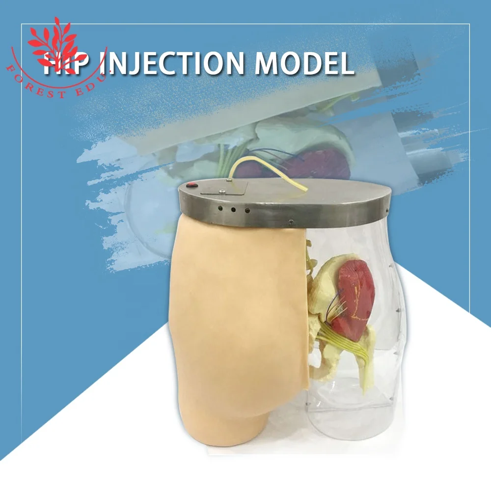 Medical Nursing model Human Buttocks intramuscular injection model