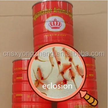 
High Hatching Rate Brine Shrimp Eggs 