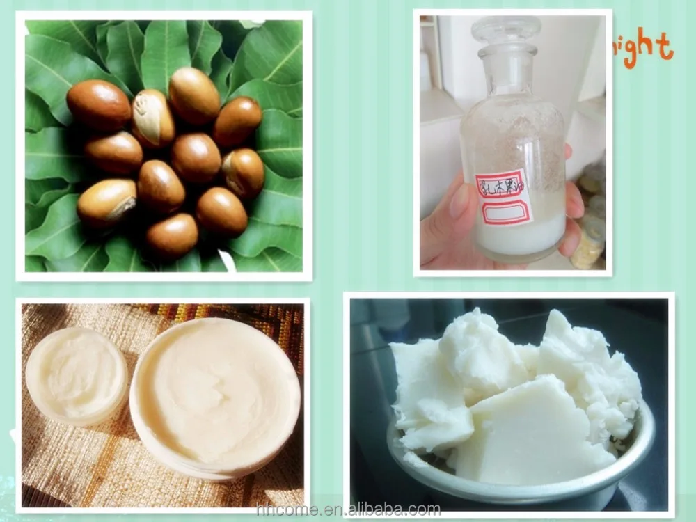Full continuous shea nut butter press & extraction machine, shea oil press machine