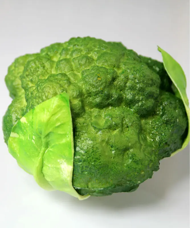 Моделирование растительное зеленых брокколи для