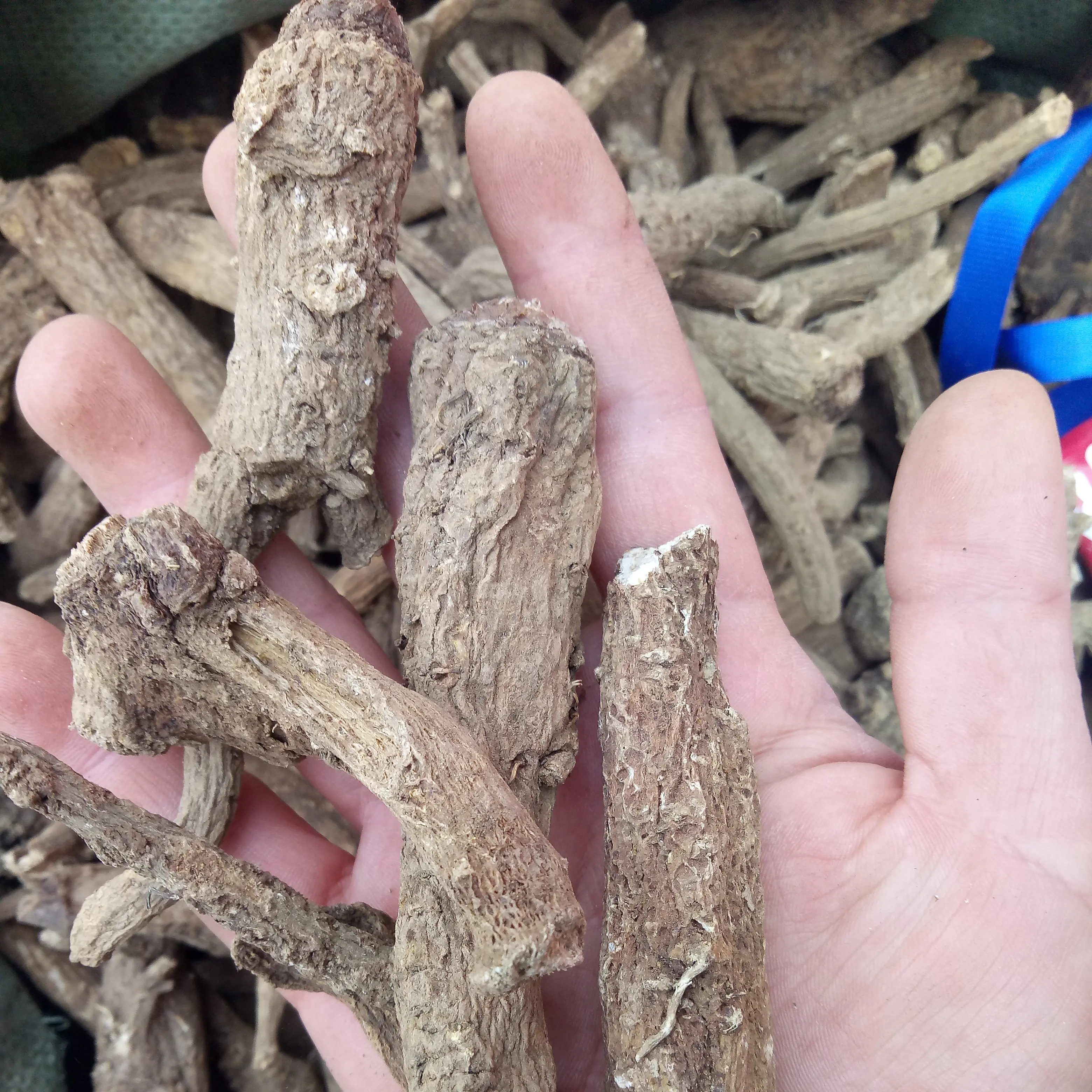 
Natural dried big size low pesticide Costus Roots for sale 