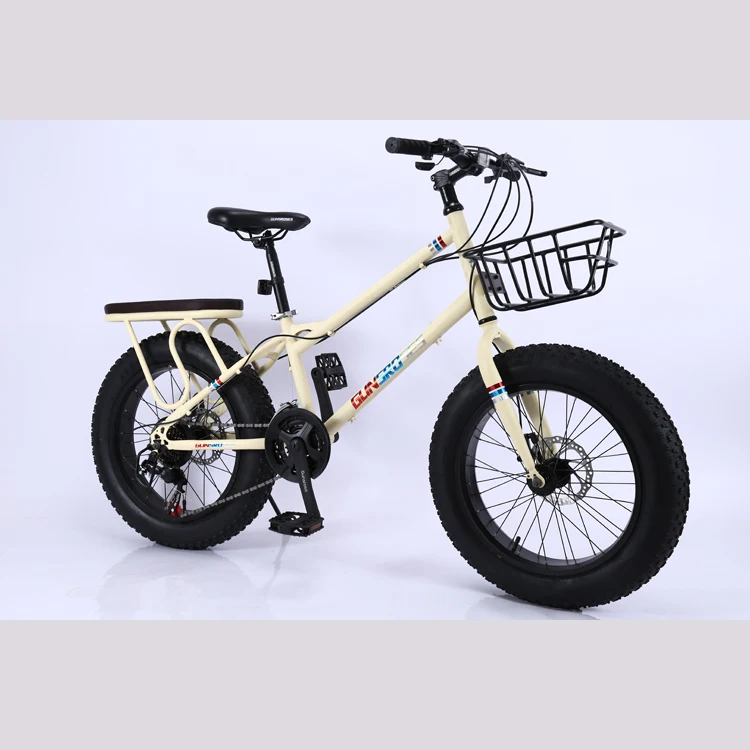 20Inch Bicycle21Speed High Carbon Steel Mountain Bike Dual Disc Brake Bikes