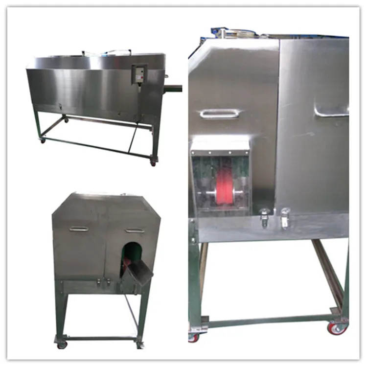 Fish fillet processing plant