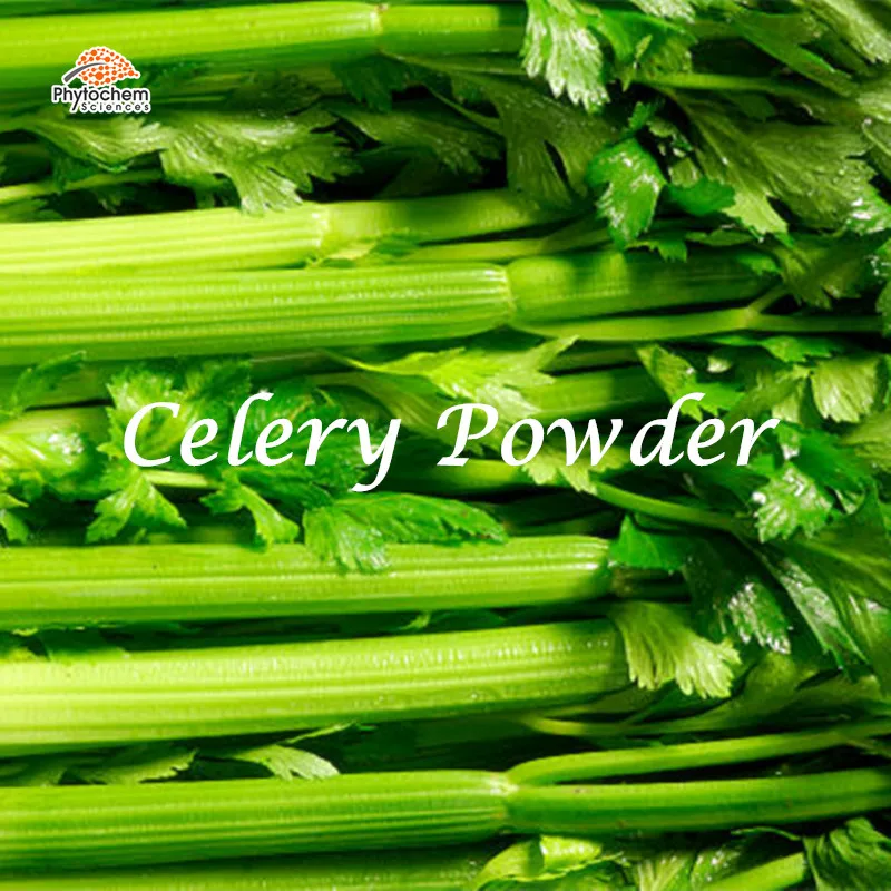 water soluble organic celery juice powder