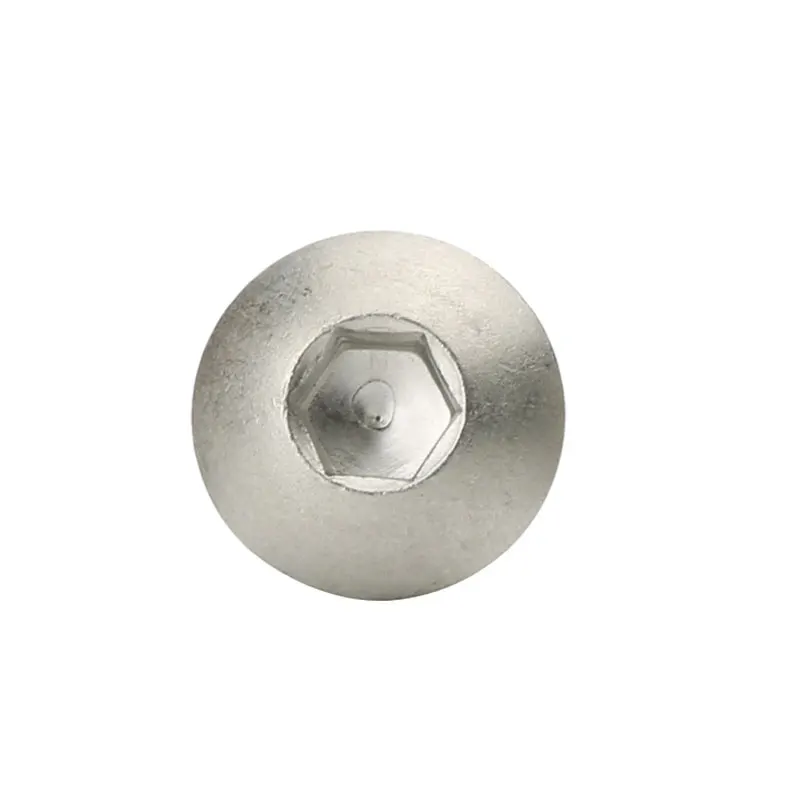 1/4 in a country like. X 1 inch. M6 Internal Hex Button Screw, Round Head and Hex Head