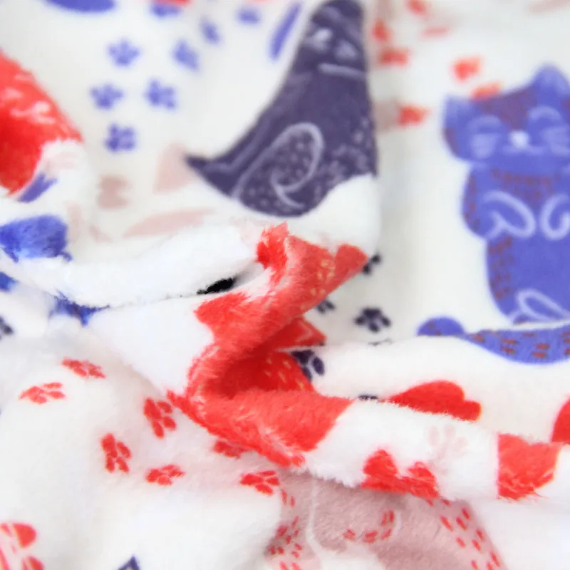 
Custom Small MOQ Digital Printed Minky Baby Blanket Fabric 