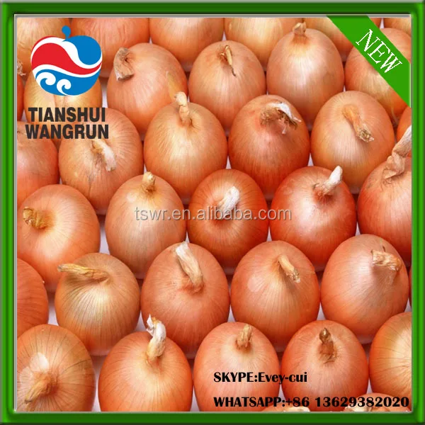China yellow onion fresh onion red onion