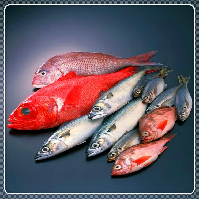 Aquaculture probiotic for shrimp and fish