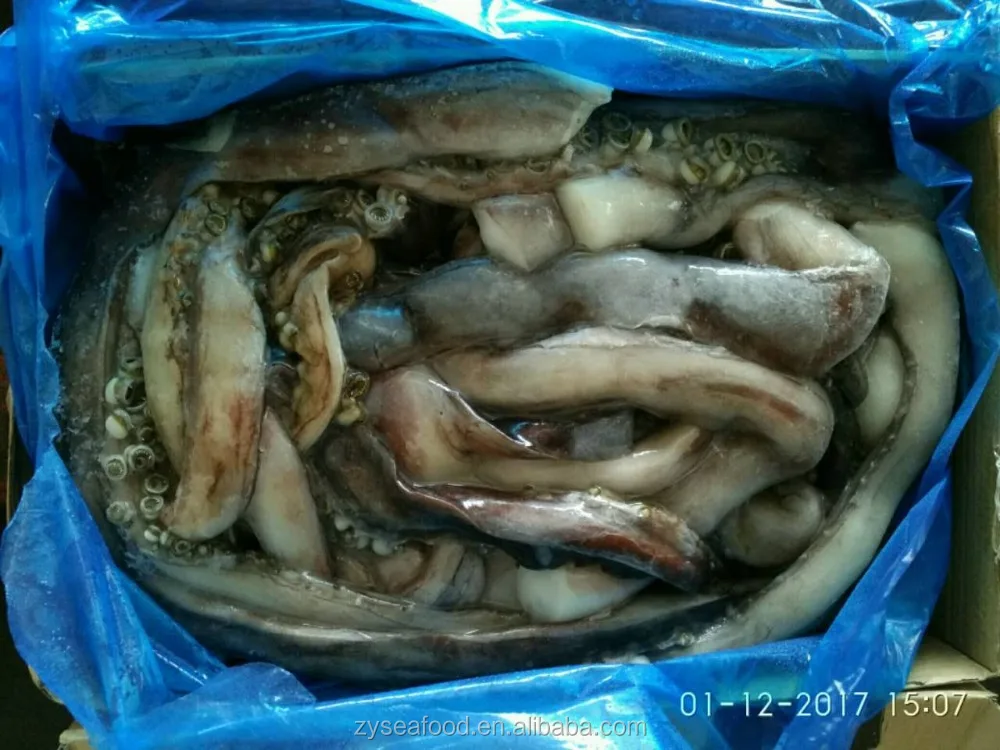 wholesale frozen cheap giant squid tentacles fish bait Squid Sexual Tentacles