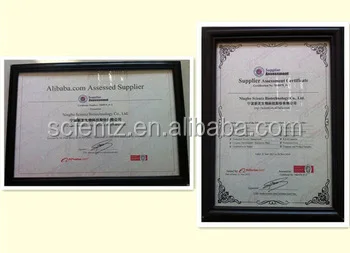 JY92-IIDN probe sonicator ultrasonic homogenizer