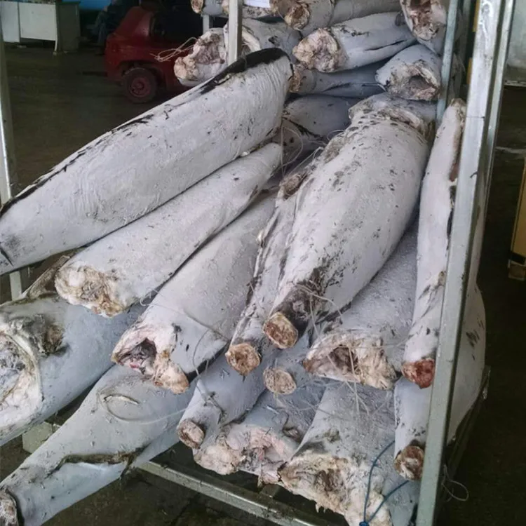 2019 Hot sale New Arrival High Quality Blue Marlin For Market Or Can