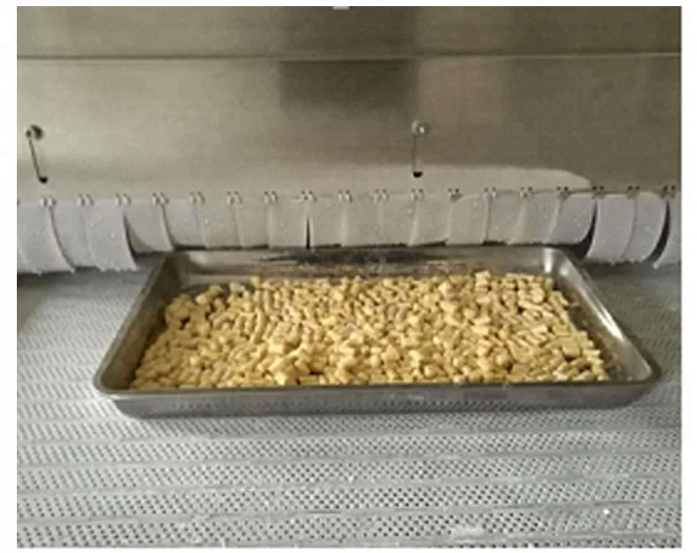 DJL, туннель для жидкого азота, быстрозамораживающее оборудование для овощей/зерен Таро