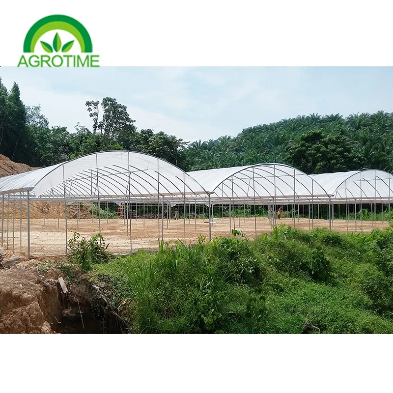 high quality agricultural cod frame greenhouse structure Commercial multi-span green house